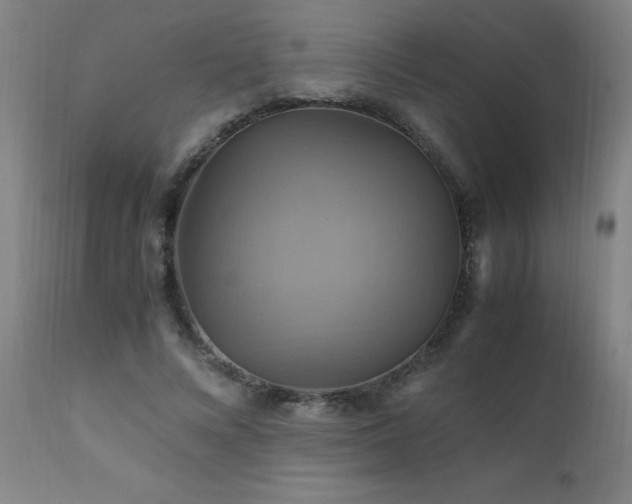 X0000110990688200906191427