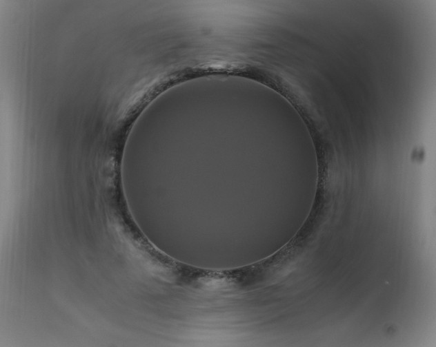 X0000110990689200906191427