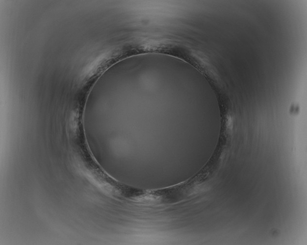 X0000110990691200906191427