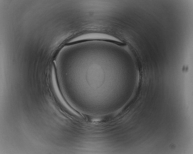 X0000110990692200906191427