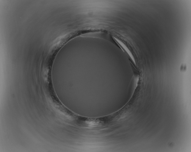 X0000110990693200906191427