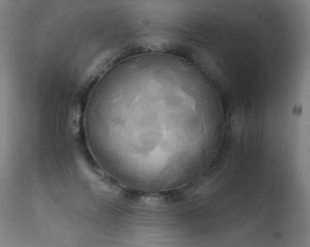 X0000110990694200906191427
