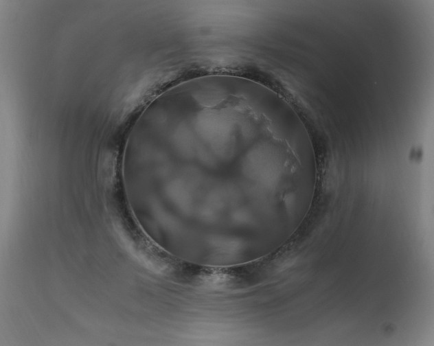 X0000110990695200906191427