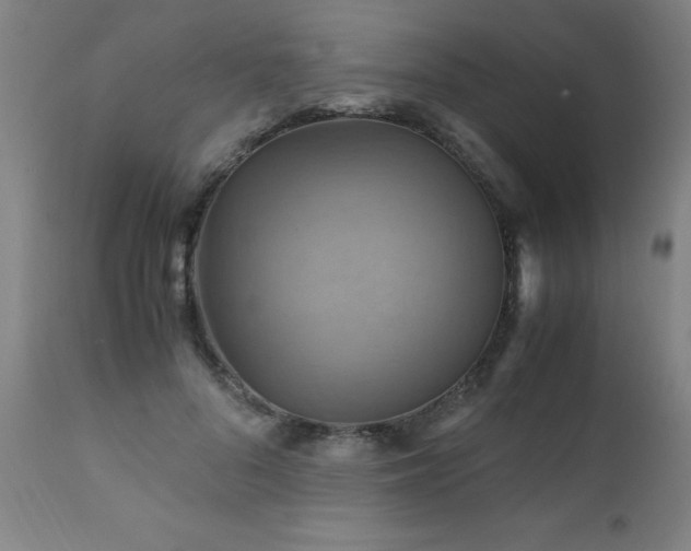 X0000110990696200906191427