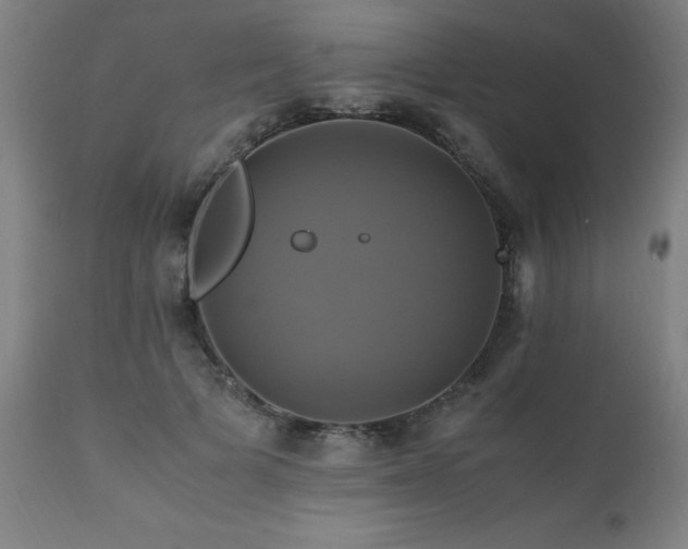 X0000110990697200906191427