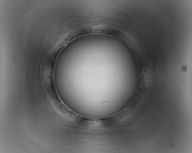 X0000110990698200906191427