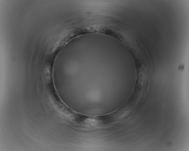 X0000110990699200906191427
