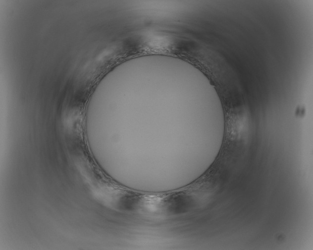 X0000110990701200906191427