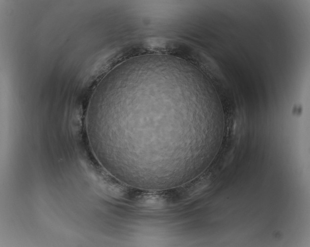 X0000110990702200906191427