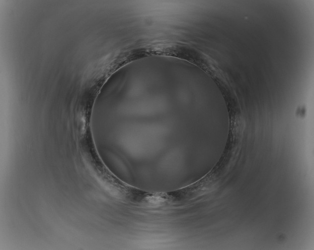 X0000110990703200906191427