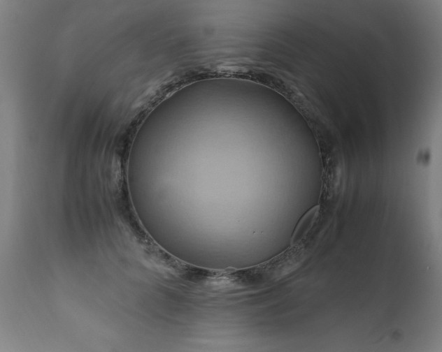 X0000110990704200906191427