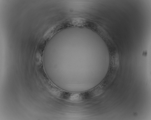 X0000110990705200906191427