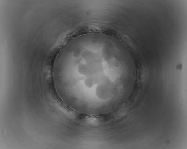 X0000110990706200906191427