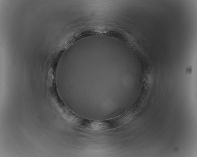 X0000110990707200906191427