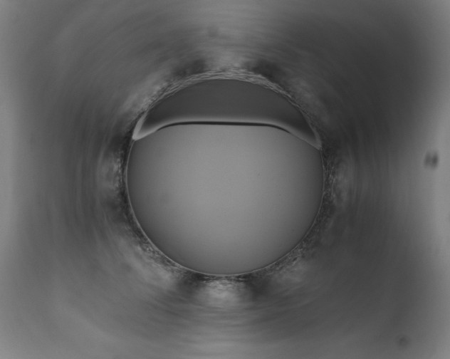 X0000110990708200906191427