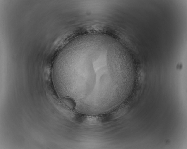 X0000110990709200906191427