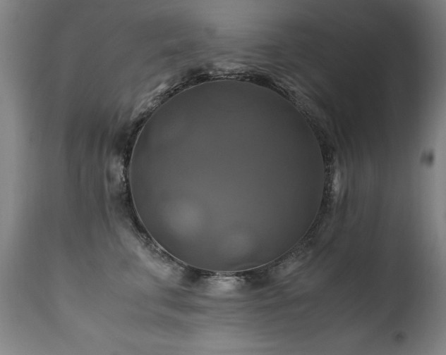 X0000110990711200906191427