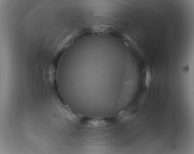 X0000110990712200906191427