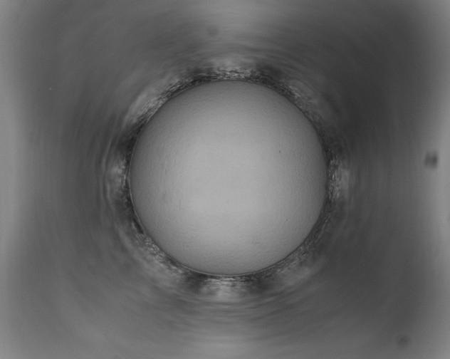 X0000110990713200906191427