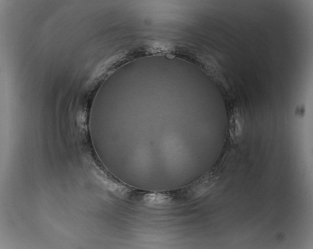 X0000110990714200906191427