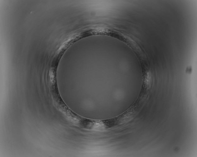 X0000110990715200906191427