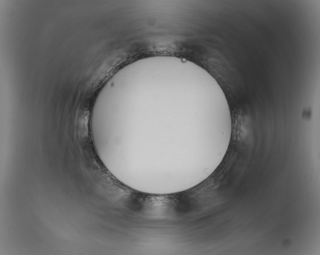 X0000110990717200906191427