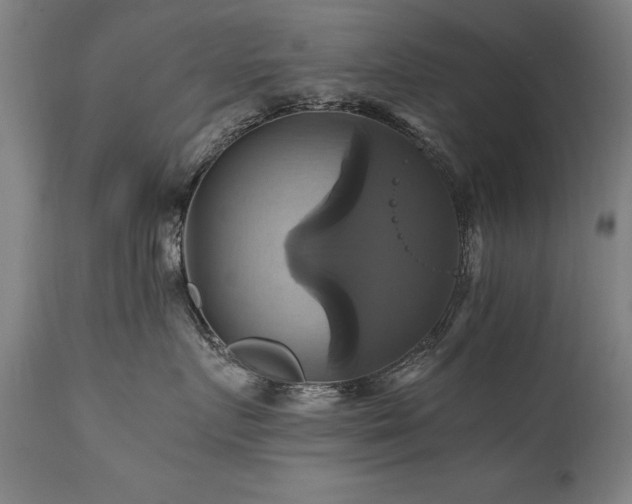 X0000110990719200906191427