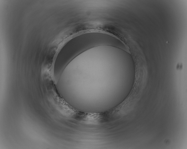 X0000110990720200906191427