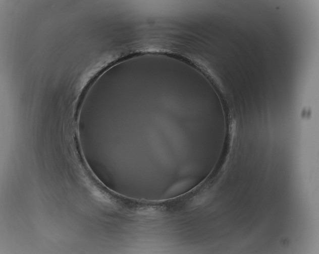X0000110990721200906191426