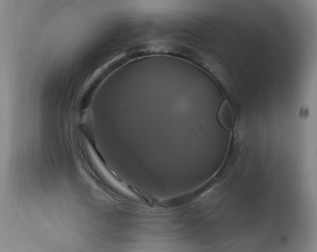 X0000110990722200906191426