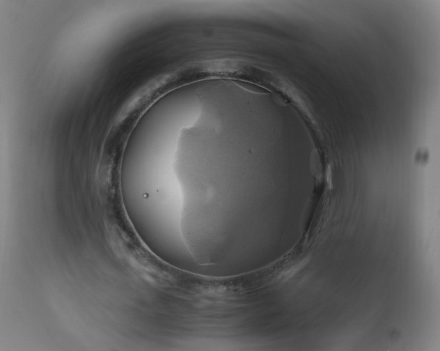 X0000110990723200906191426
