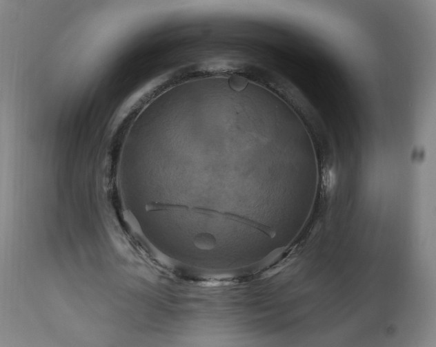 X0000110990724200906191426