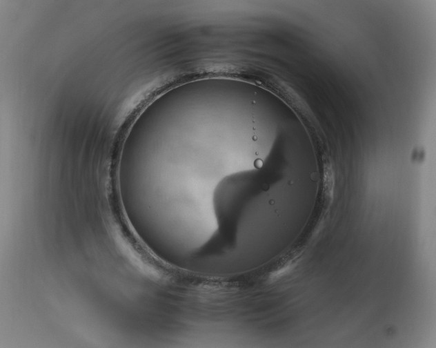X0000110990725200906191426