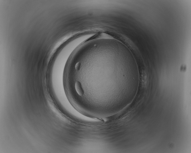X0000110990726200906191426
