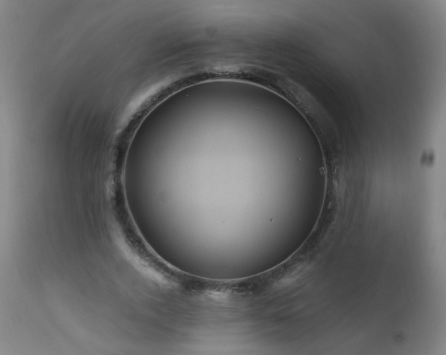 X0000110990728200906191426
