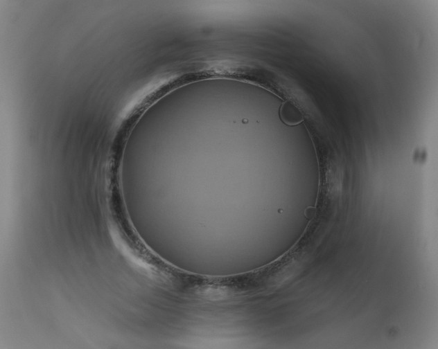 X0000110990730200906191426