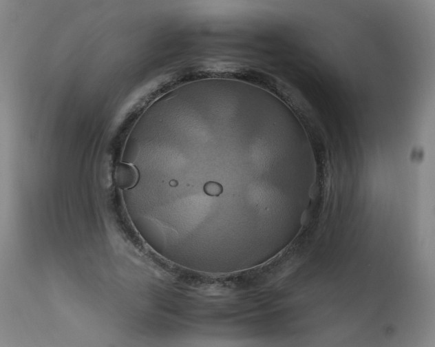 X0000110990731200906191426