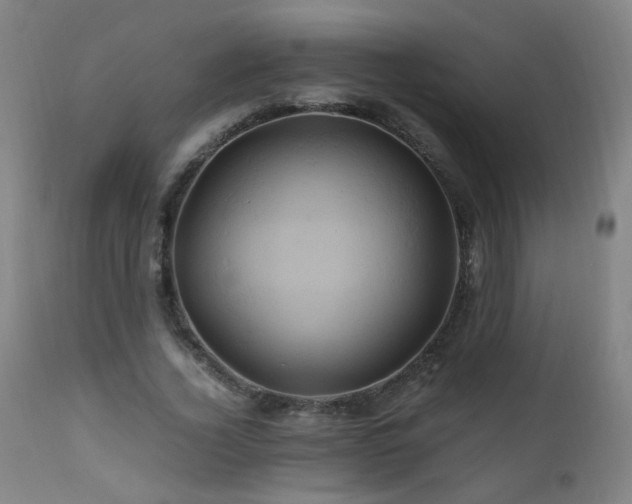X0000110990732200906191426