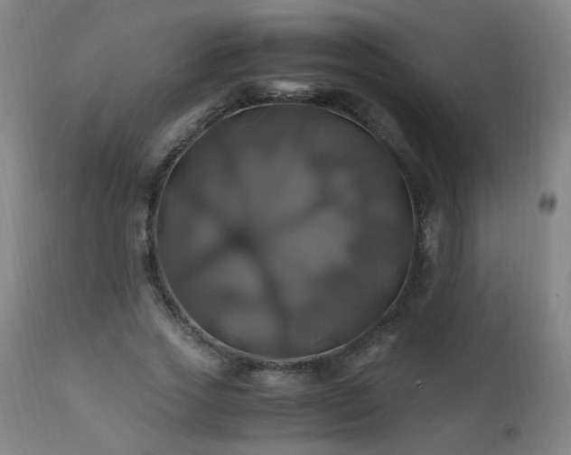 X0000110990733200906191426
