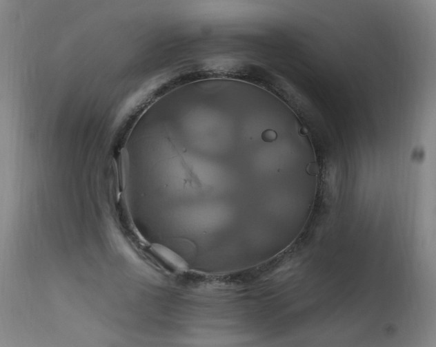 X0000110990734200906191426