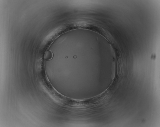 X0000110990735200906191426