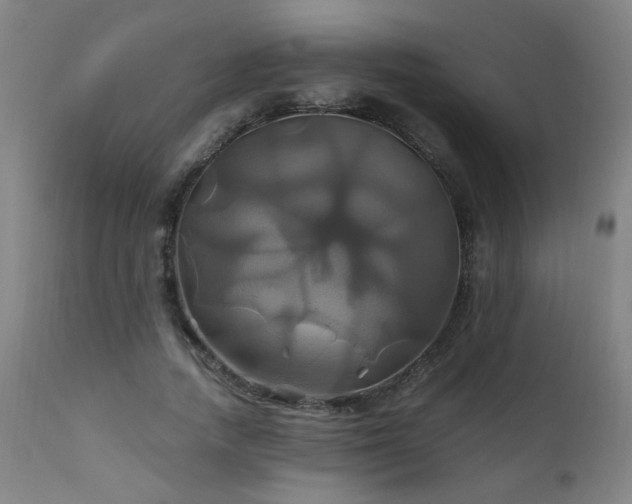 X0000110990738200906191426