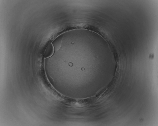 X0000110990739200906191426
