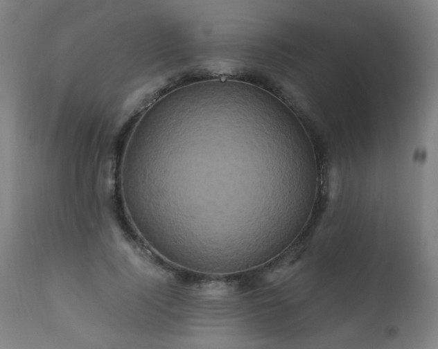 X0000110990740200906191426