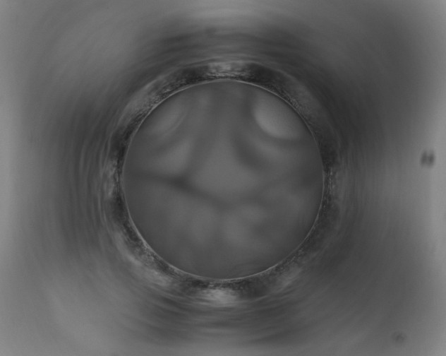 X0000110990741200906191426