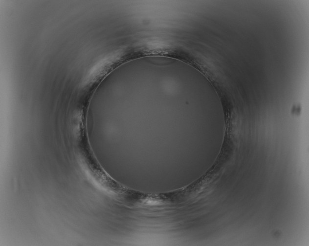 X0000110990742200906191426