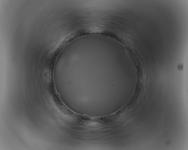 X0000110990743200906191426