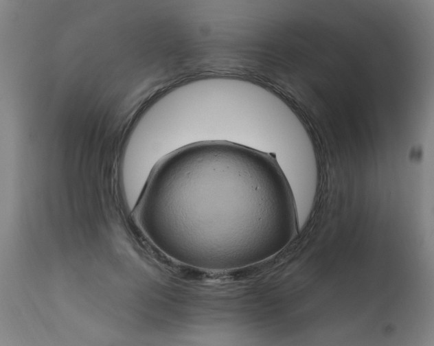 X0000110990744200906191427