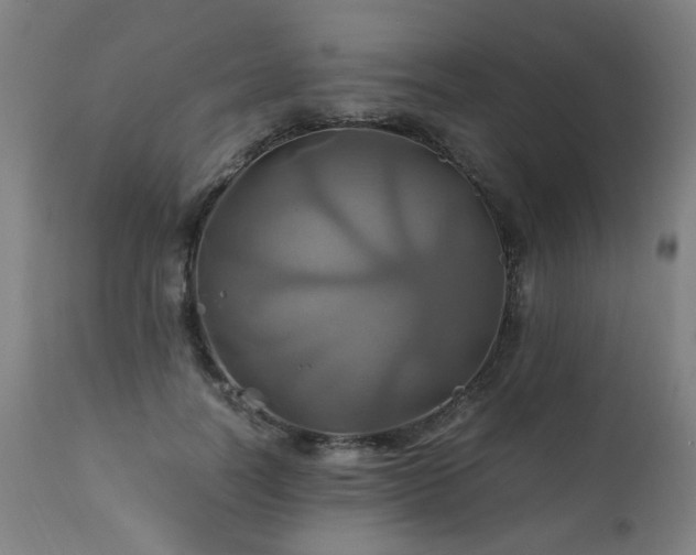 X0000110990746200906191427