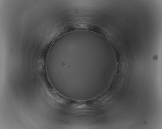 X0000110990747200906191427